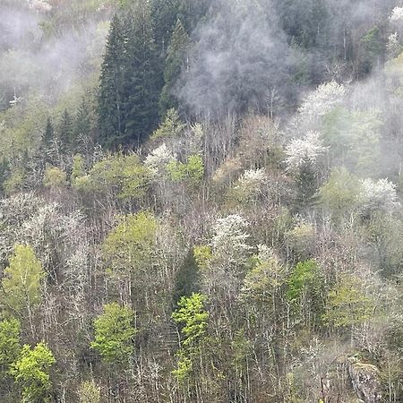 La Maison De Mon Pere Le Nayrac Eksteriør bilde