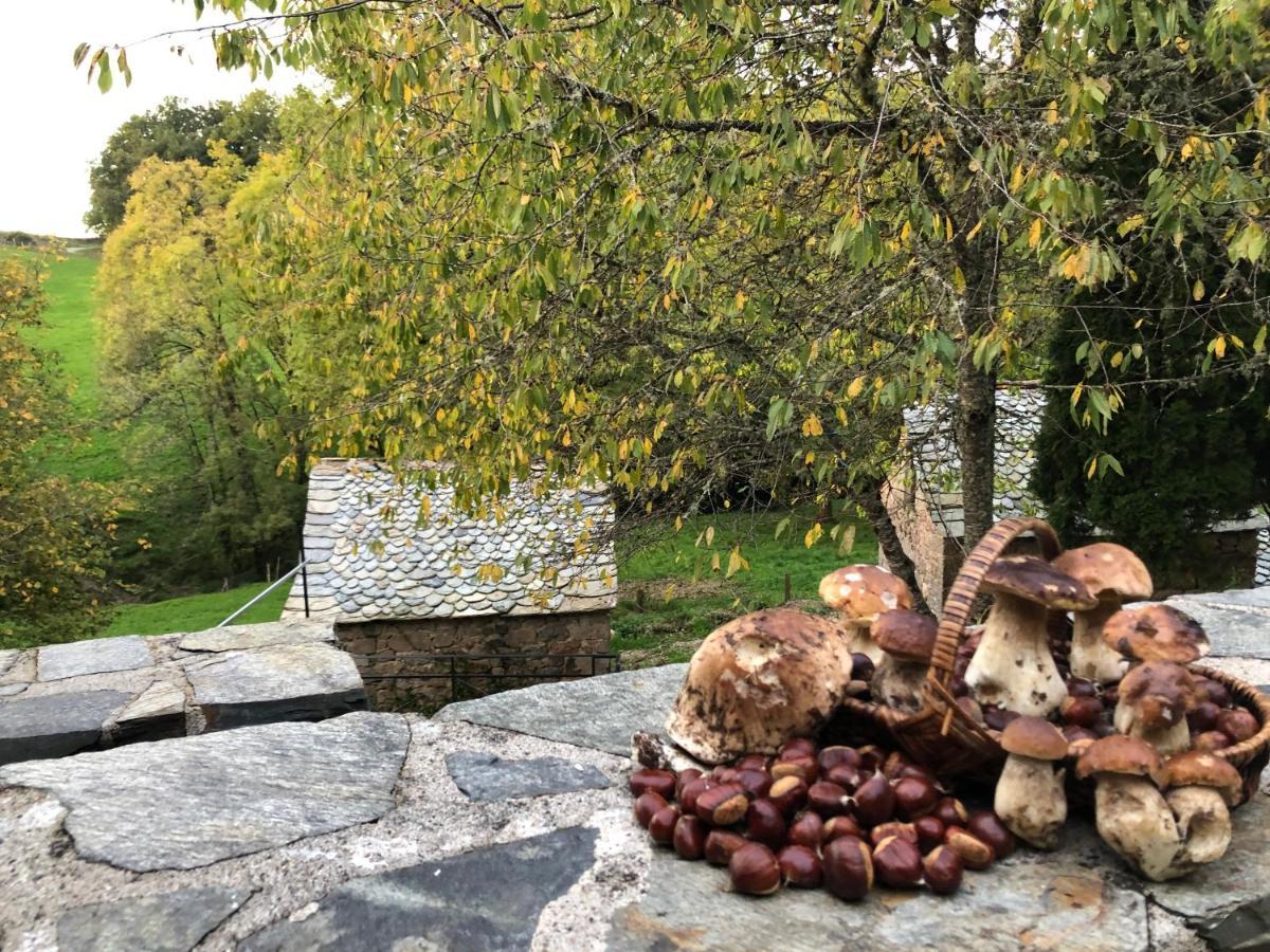 La Maison De Mon Pere Le Nayrac Eksteriør bilde